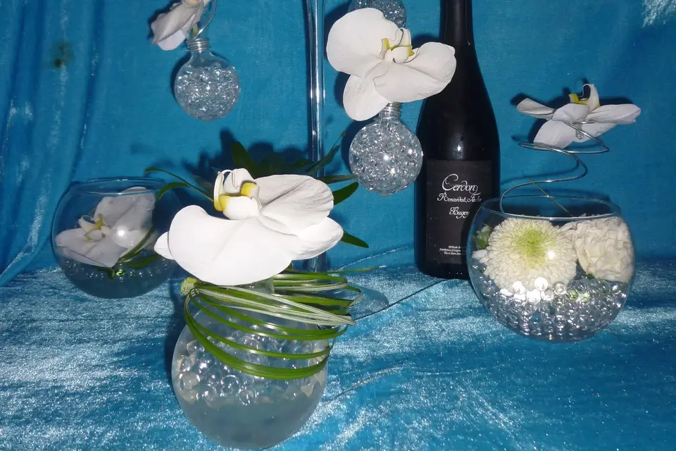 Atelier Coquelicot — photo 2