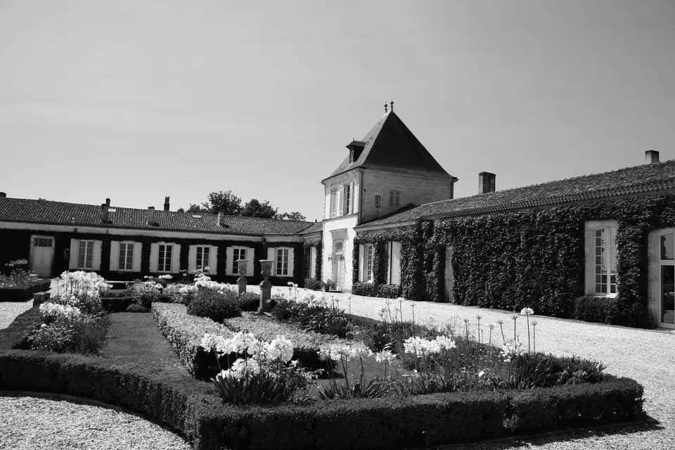 Château Paveil de Luze — photo 5