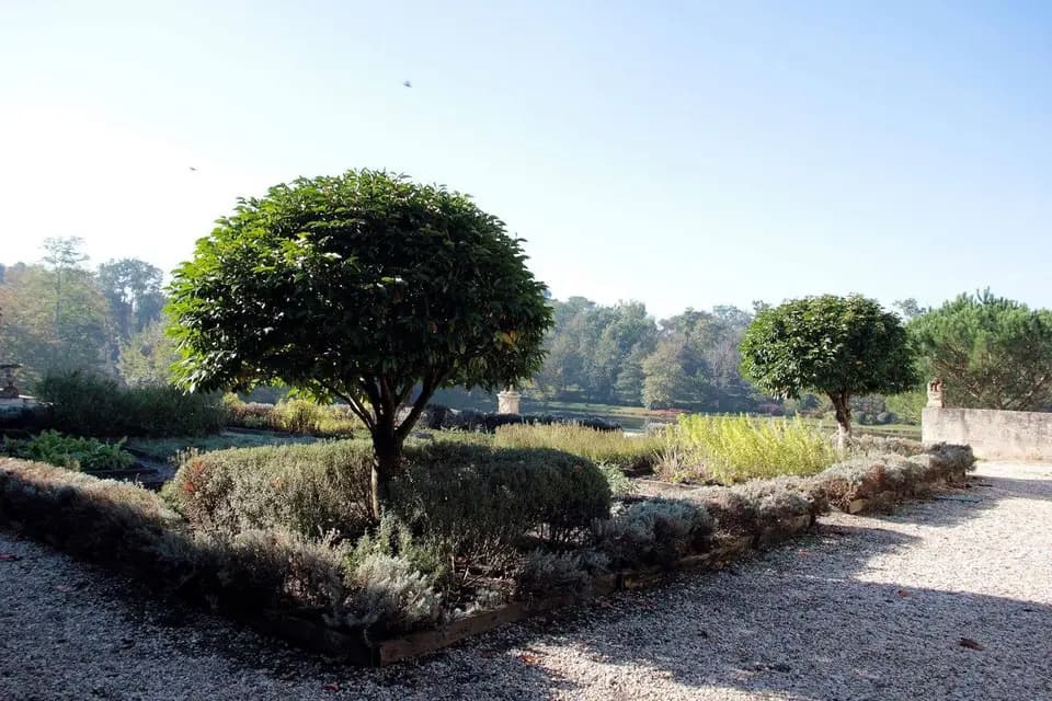 Château Paveil de Luze — photo 6