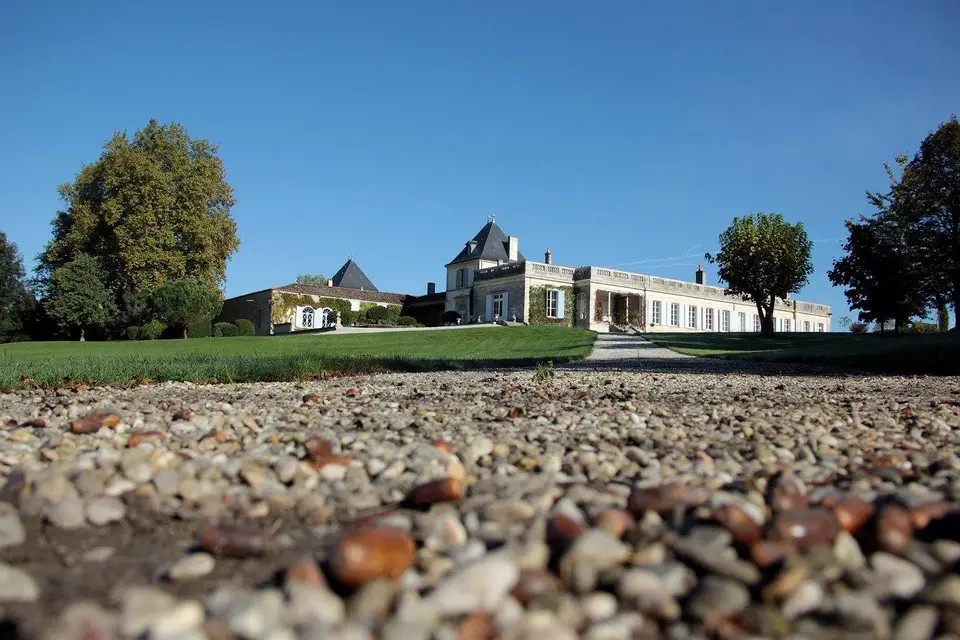 Château Paveil de Luze — photo 7