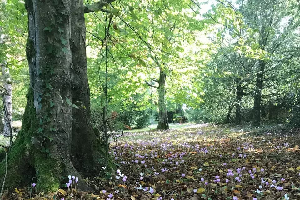 Château Paveil de Luze — photo 8