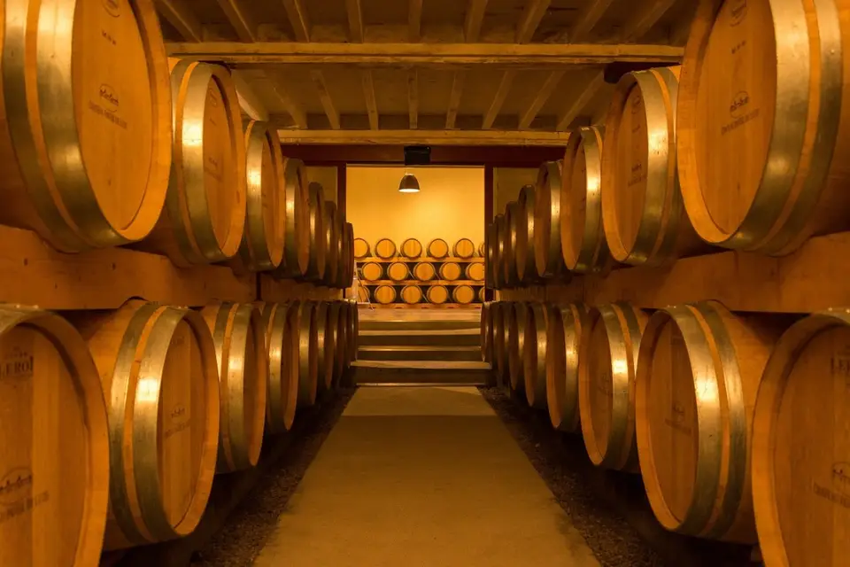 Château Paveil de Luze — photo 1