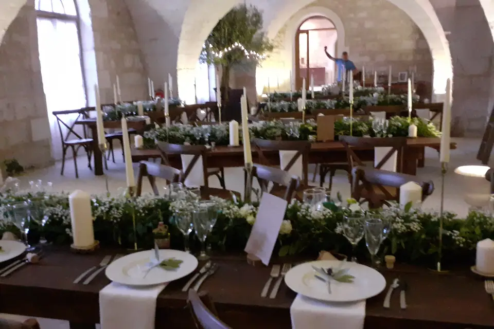 Camélia — photo 4