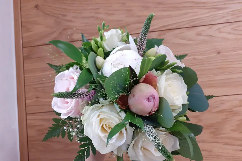 Camélia — photo 5