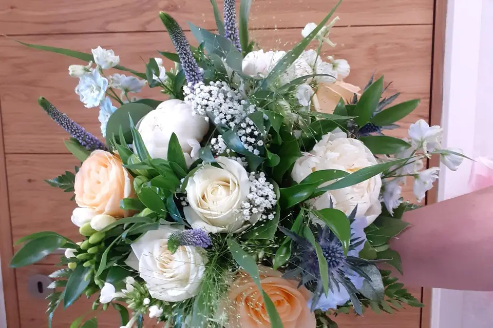 Camélia — photo 6