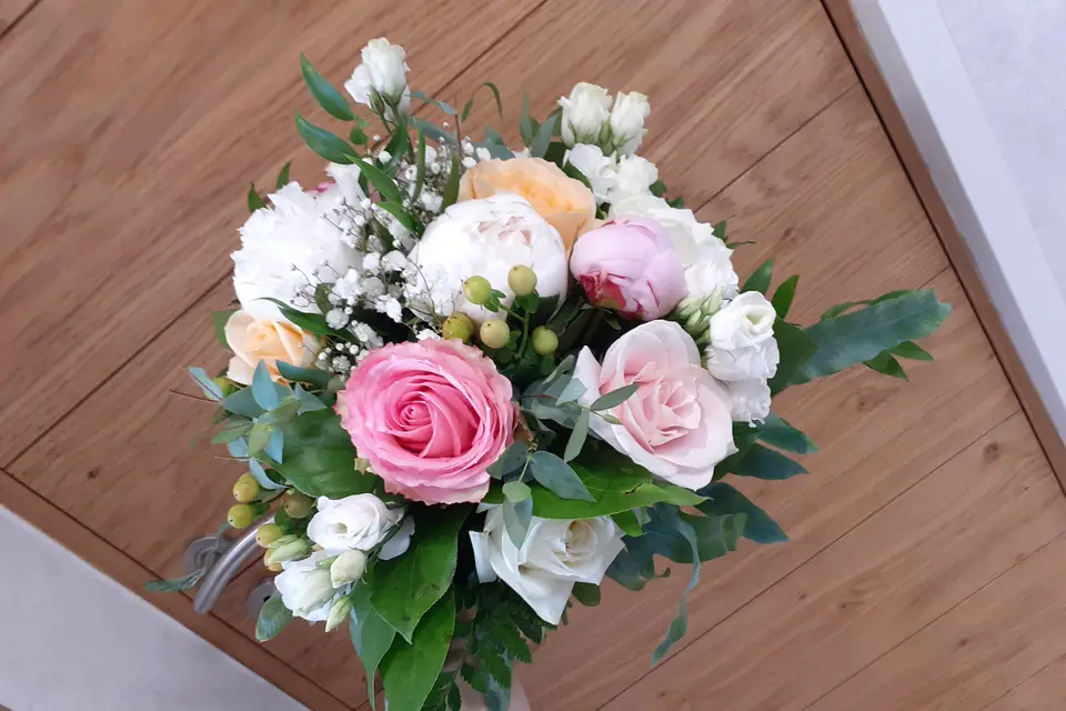 Camélia — photo 1