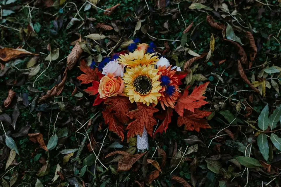 Party My Life — photo 8