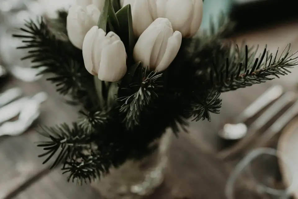 Le Comptoir de la Colombe — photo 4