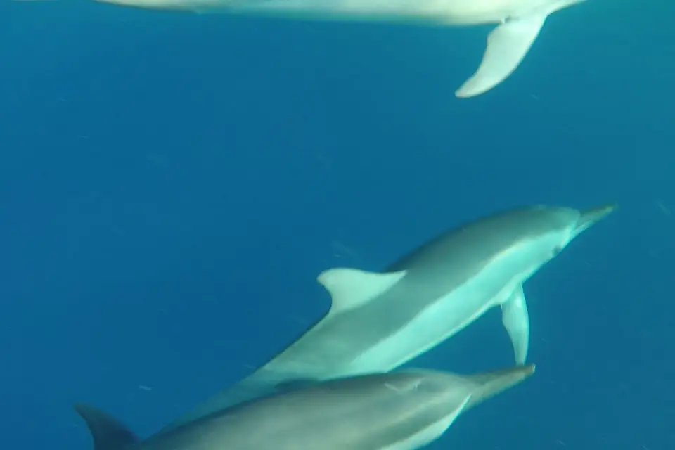 In the Sky Travel — photo 7