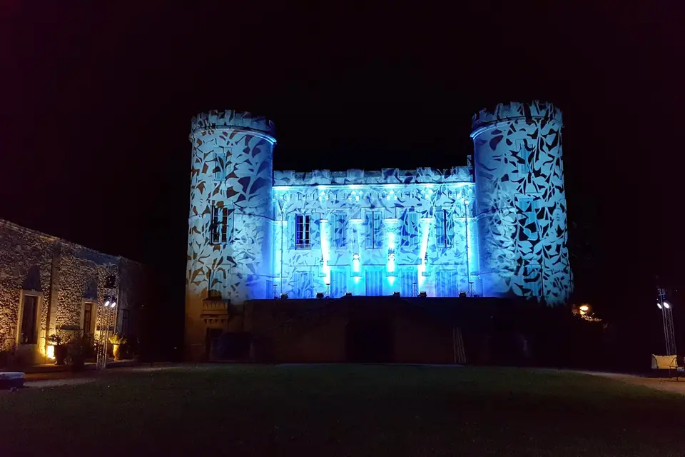 Château de Pouget — photo 6