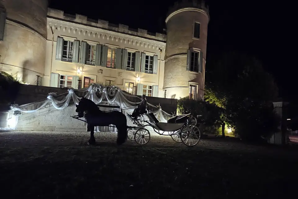 Château de Pouget — photo 4