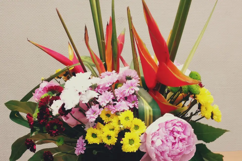 France Jardins — photo 4