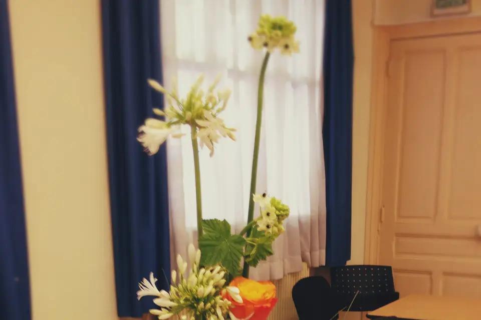 France Jardins — photo 6