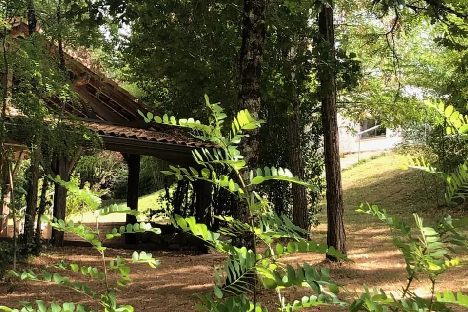 Le Longchamps — photo 1