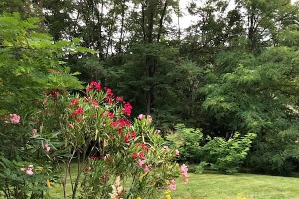 Le Longchamps — photo 5