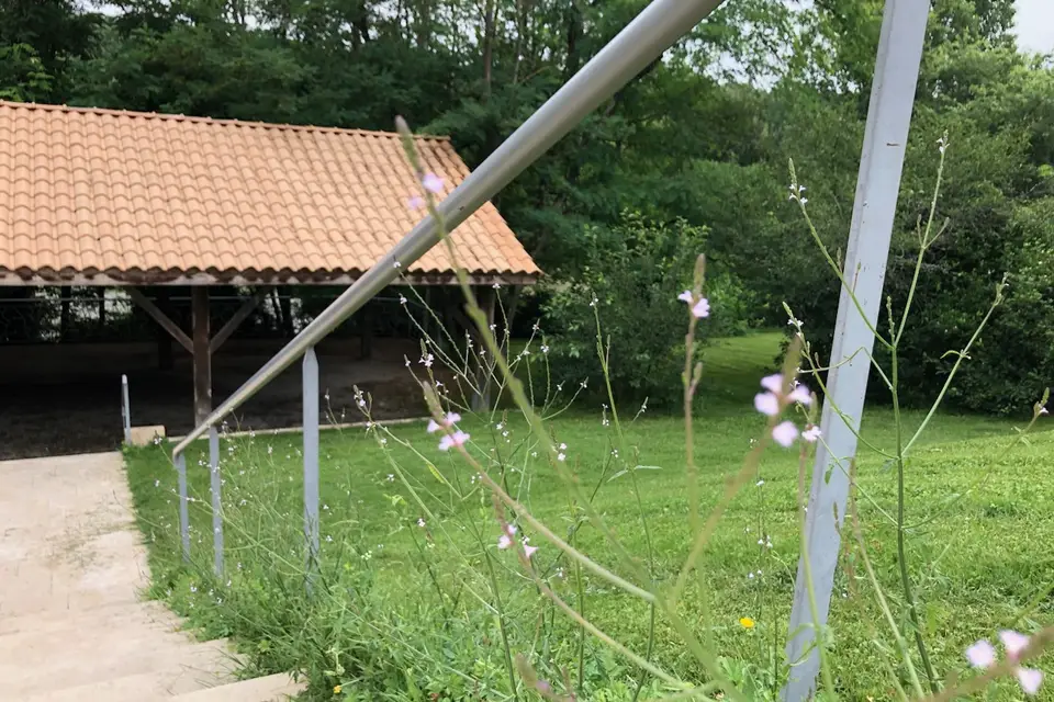 Le Longchamps — photo 6