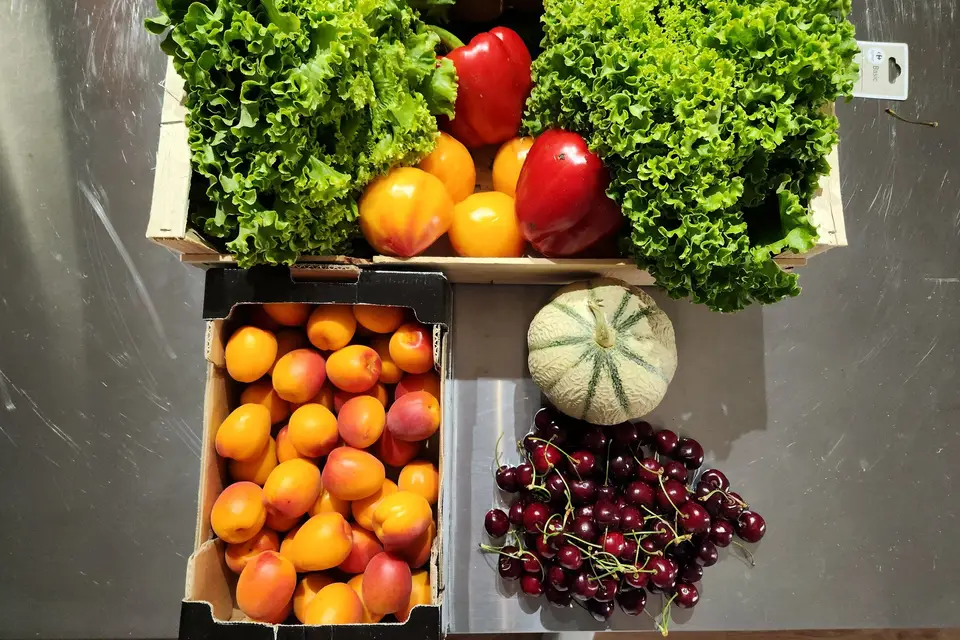 Food Salad — photo 1