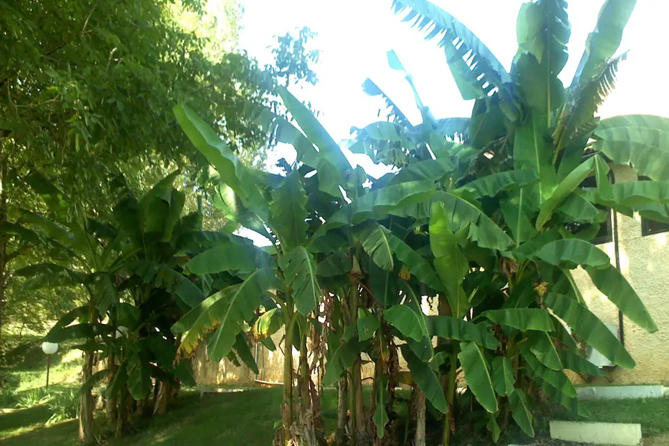 Le Pont Du Gué — photo 8