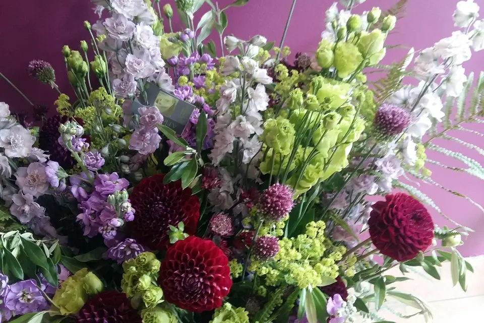 Le Monde de Roze — photo 8