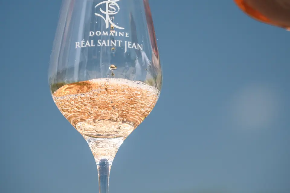 Domaine Real Saint Jean — photo 1