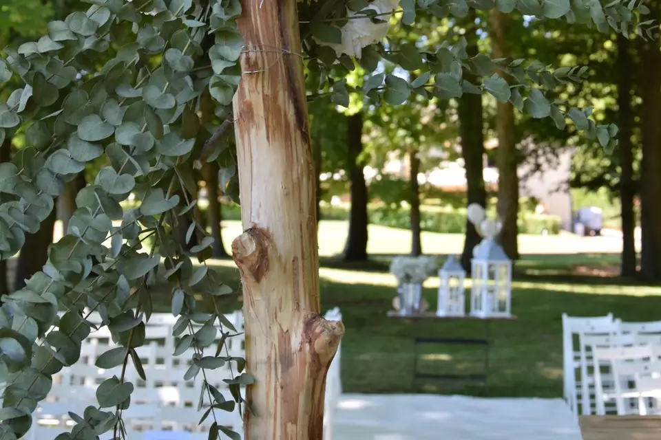 Domaine de la Grange aux Ormes — photo 3