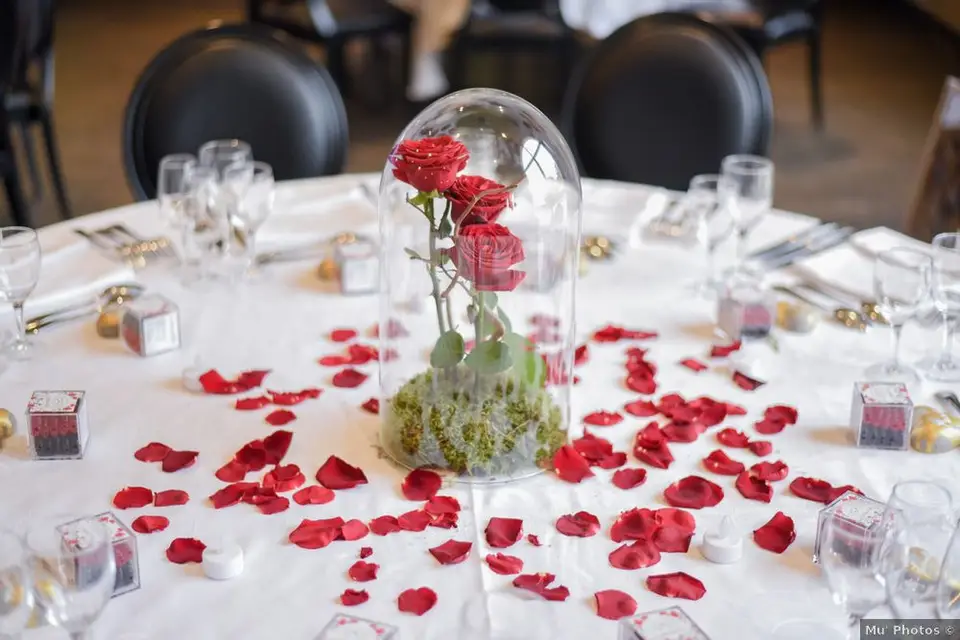 Domaine de la Grange aux Ormes — photo 9