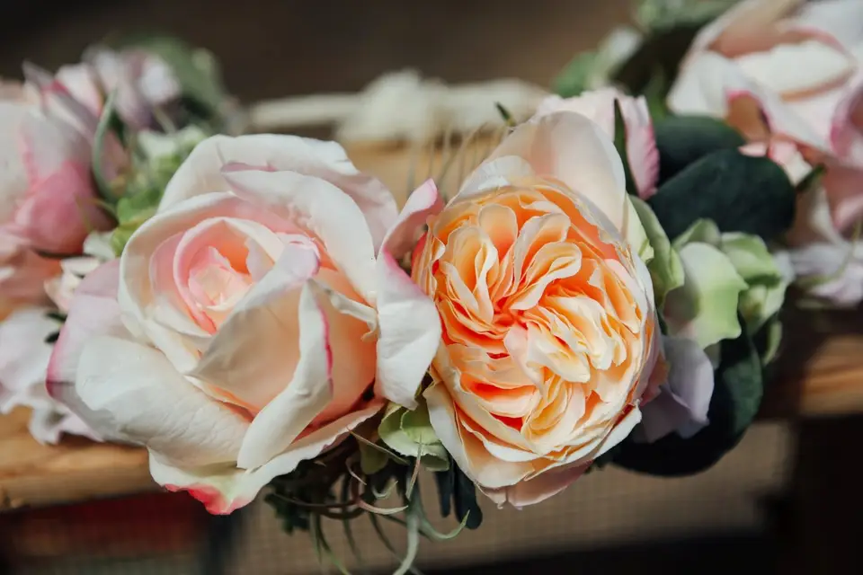 Colette Bloom — photo 3