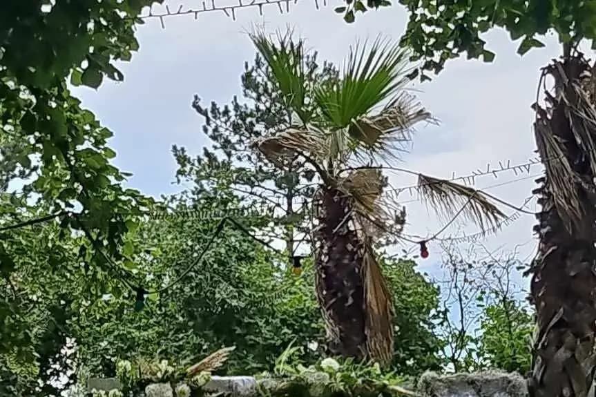 Graines d'Idées — photo 8