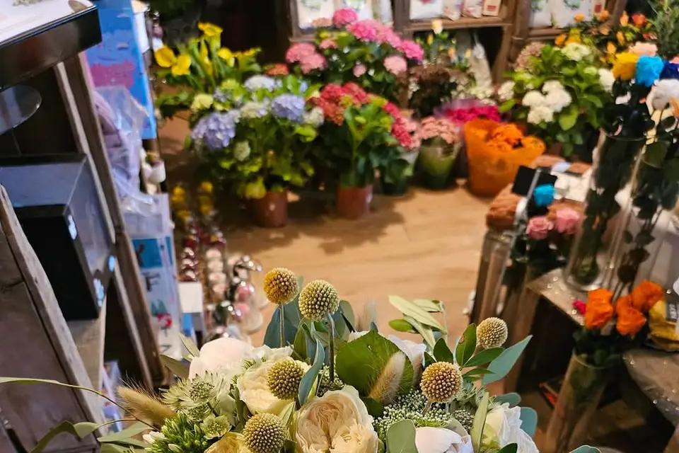 Graines d'Idées — photo 6