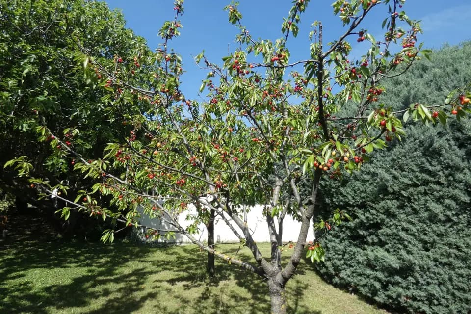 Le Mas du Sillot — photo 6