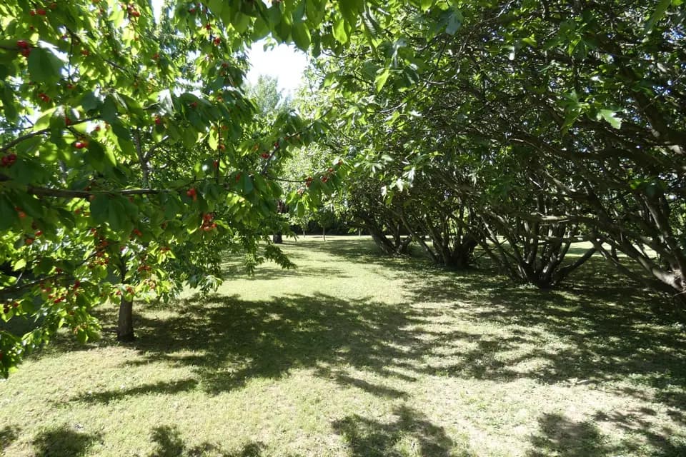 Le Mas du Sillot — photo 7