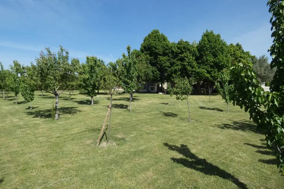 Le Mas du Sillot — photo 8