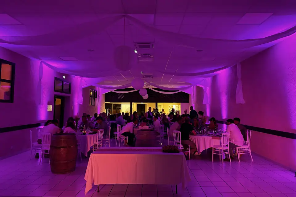 Techny Light Sound — photo 3