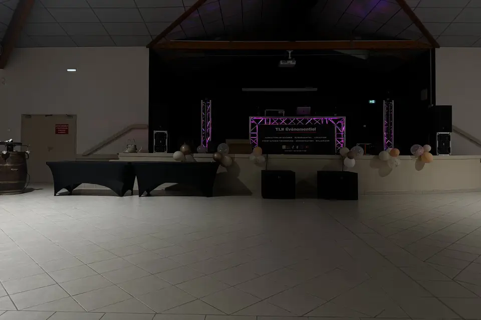 Techny Light Sound — photo 1