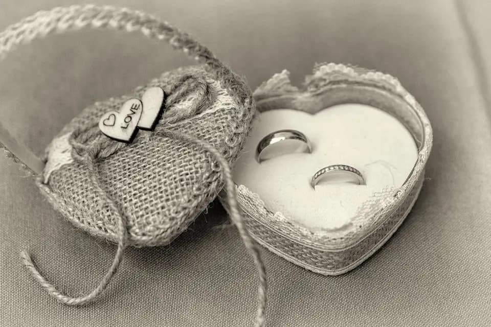 V Wedding Agency — photo 3