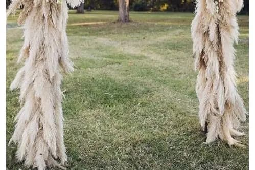 Les Evénements de Morgane — photo 4