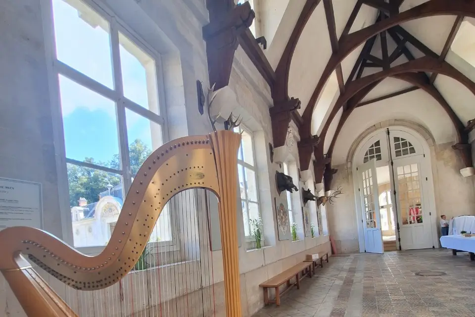 Avrill Harpiste — photo 5