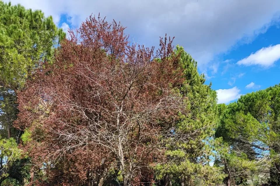 Domaine FB — photo 6