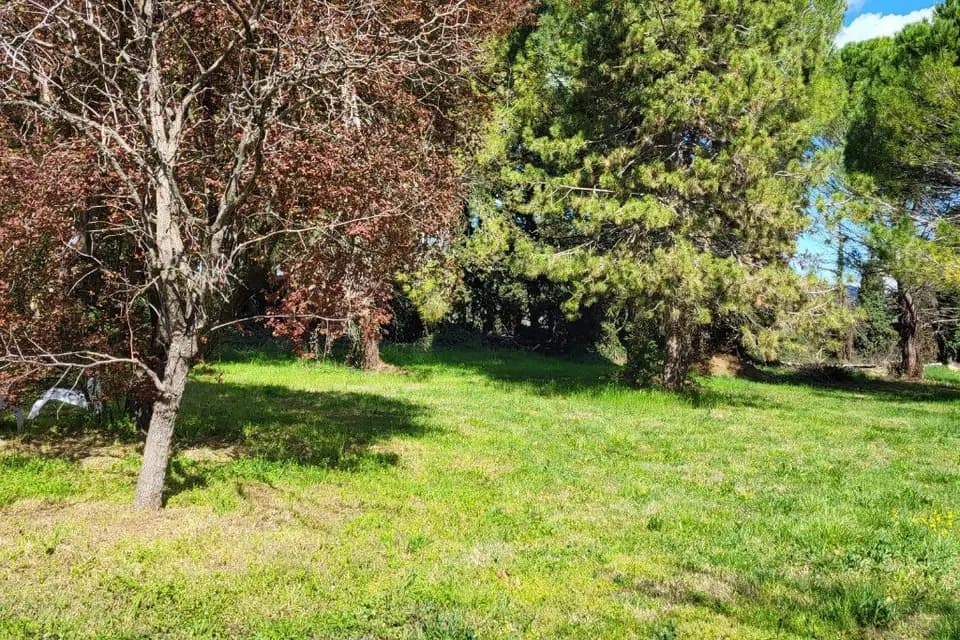 Domaine FB — photo 7