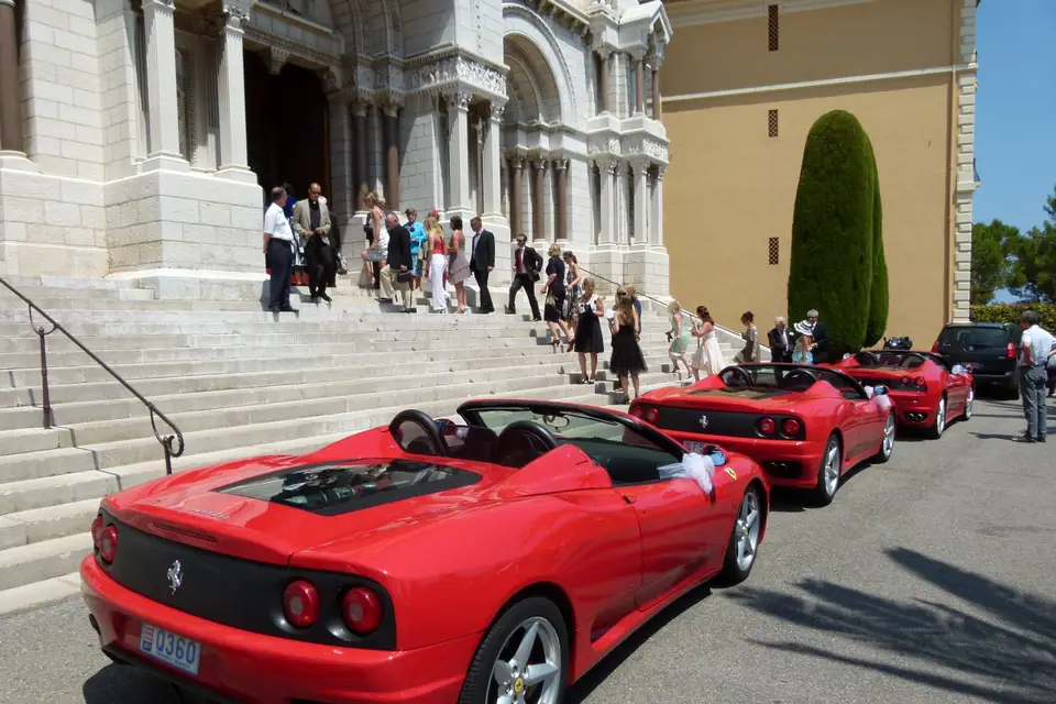 Liven up — photo 6