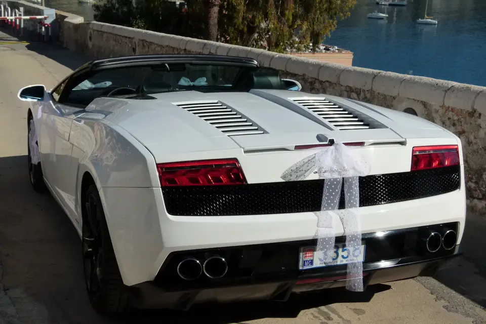 Liven up — photo 7