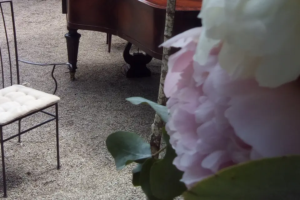 Sauget Julien -  pianiste — photo 8