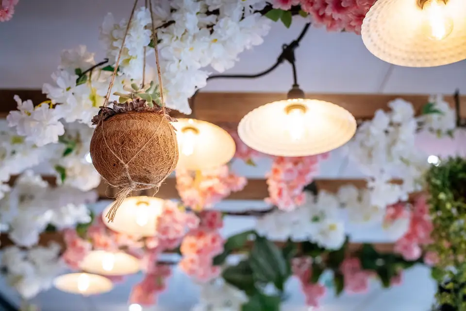 Civette du Parc — photo 2