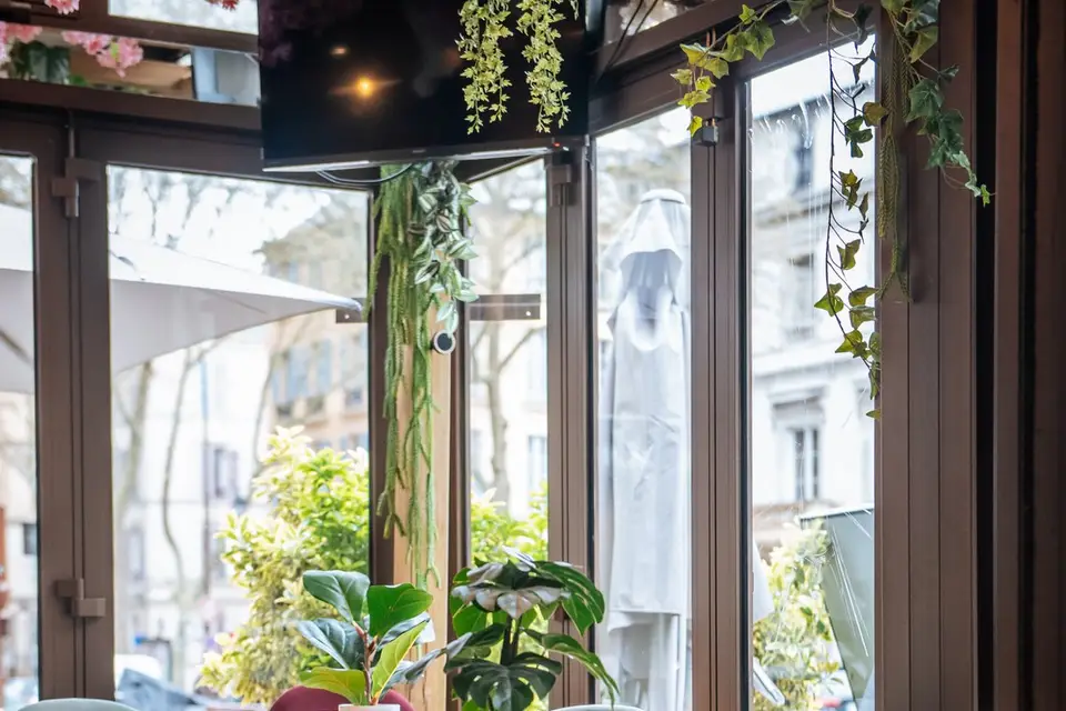 Civette du Parc — photo 8