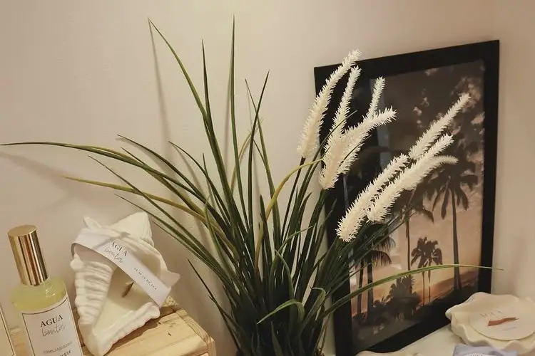 Agua Benta — photo 5