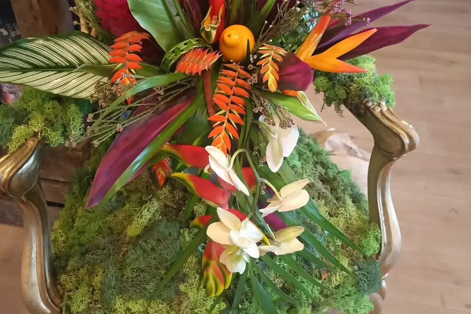 Graines d'Idées Cebazat — photo 7