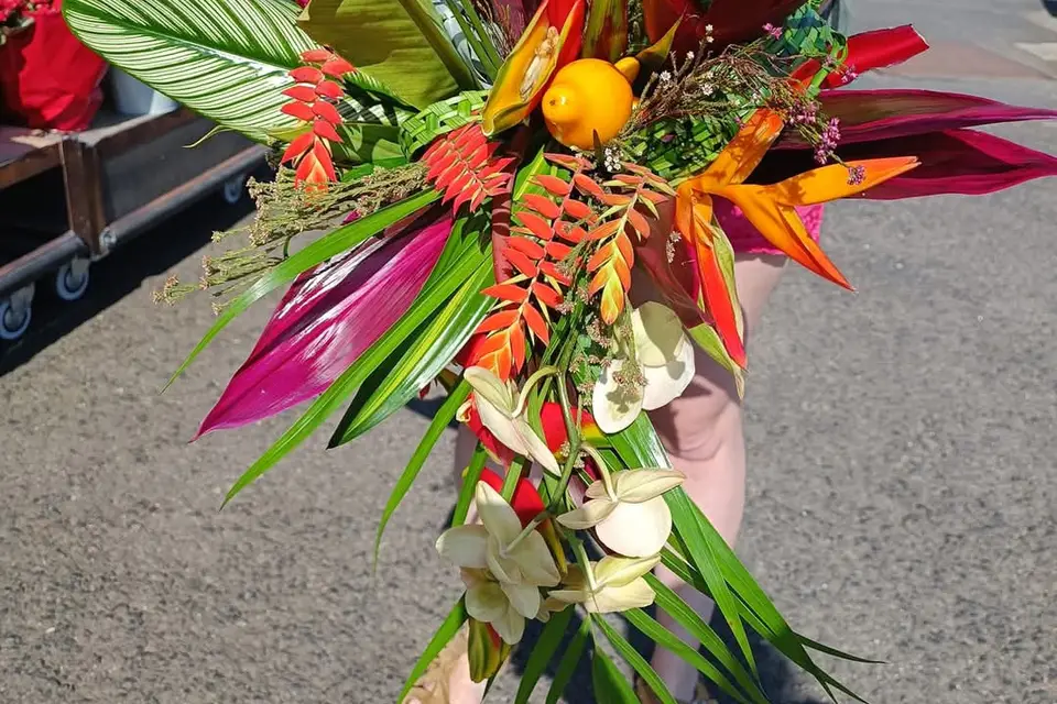 Graines d'Idées Cebazat — photo 5