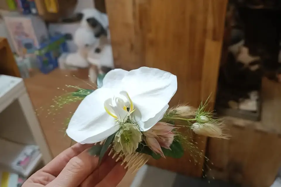 Graines d'Idées Cebazat — photo 8