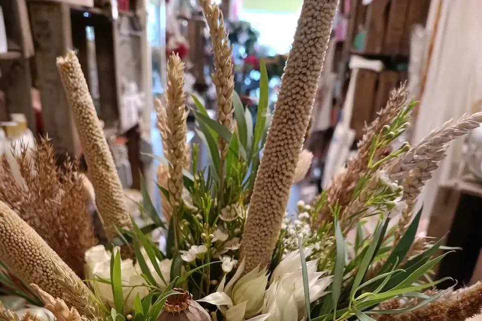 Graines d'Idées Cebazat — photo 3