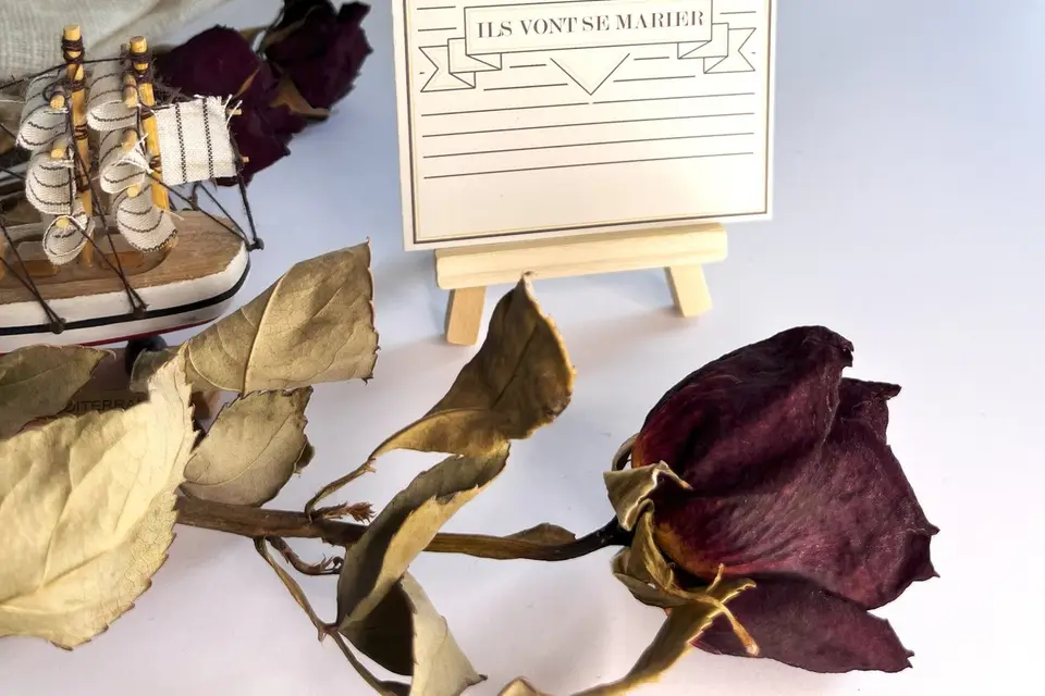 Éco Quelicot — photo 2